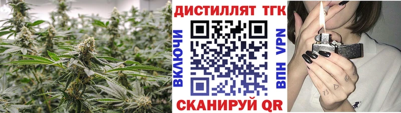 Купить где  Коммунар  ТГК концентрат 