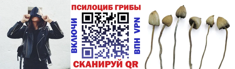 Псилоцибиновые грибы мухоморы  Купить где  Коммунар 